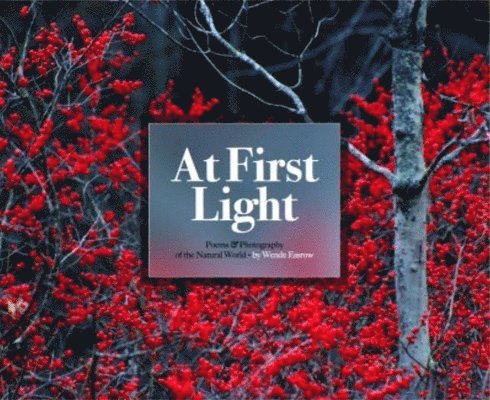 At First Light: 1