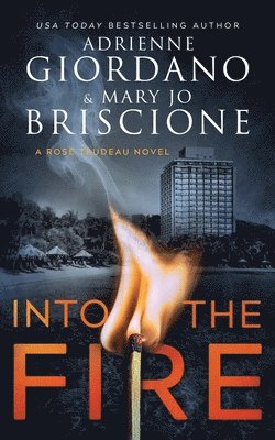 bokomslag Into The Fire