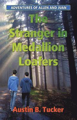 bokomslag Stranger in Medallion Loafers