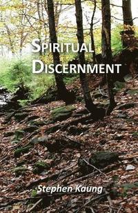 bokomslag Spiritual Discernment
