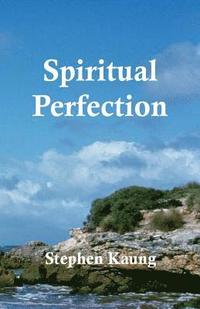 bokomslag Spiritual Perfection