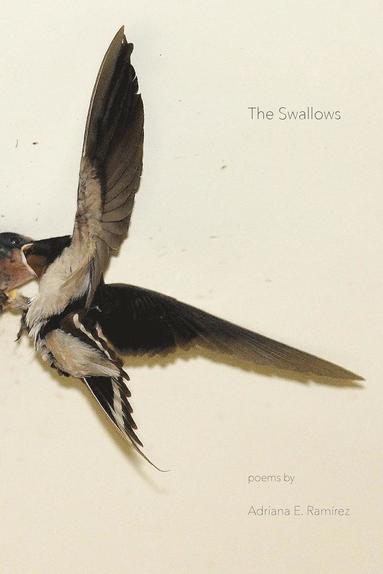 Adriana E Ramirez - Swallows, Häftad