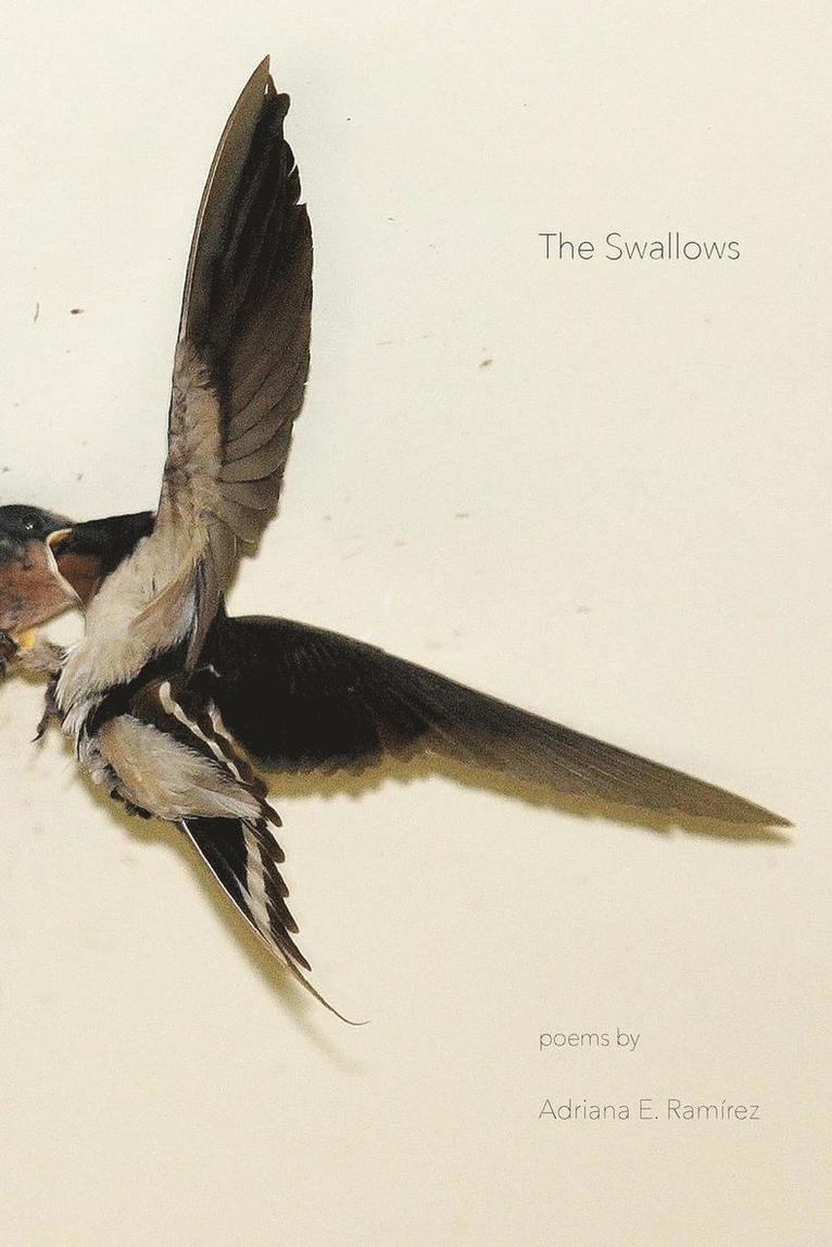 The Swallows 1