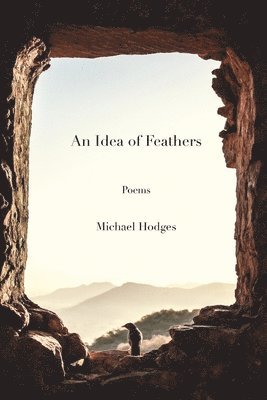 Michael Hodges - IDEA OF FEATHERS, Häftad