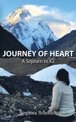 bokomslag Journey of Heart