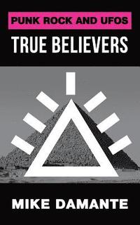 bokomslag Punk Rock and UFOs: True Believers