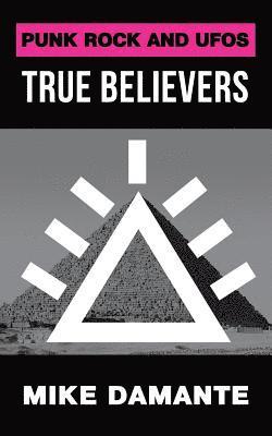 bokomslag Punk Rock and UFOs: True Believers