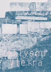 bokomslag Allyson Vieira - The Plural Present