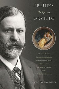 bokomslag Freud's Trip to Orvieto