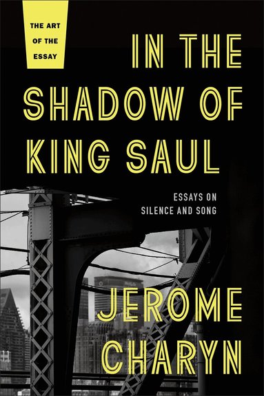 Jerome Charyn - In the Shadow of King Saul, Häftad