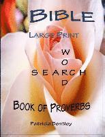 bokomslag Bible Large Print Word Search: Book of Proverbs