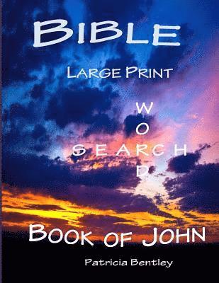 bokomslag Bible Large Print Word Search: Book of John