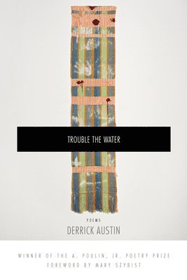 Derrick Austin - Trouble the Water, Häftad