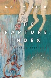 bokomslag Rapture Index