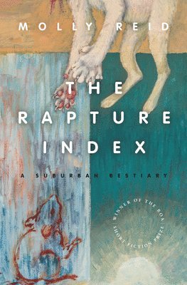 bokomslag Rapture Index