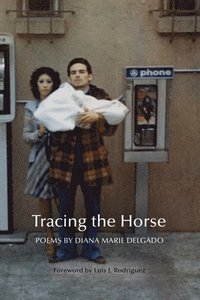 bokomslag Tracing the Horse