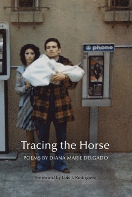 Tracing the Horse 1