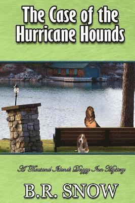 bokomslag The Case of the Hurricane Hounds