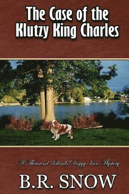 The Case of the Klutzy King Charles 1