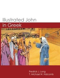 bokomslag Illustrated John in Greek
