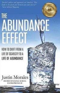 bokomslag The Abundance Effect: How to Shift from a Life of Scarcity to a Life of Abundance