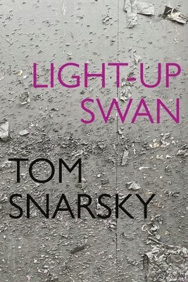 bokomslag Light-Up Swan