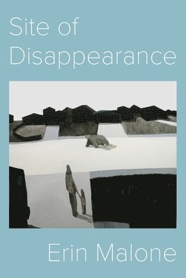 Site of Disappearance 1
