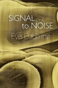 bokomslag Signal to Noise