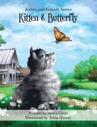 bokomslag Kitten & Butterfly