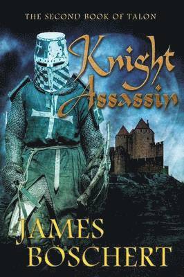 bokomslag Knight Assassin