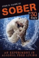 Sober in 30 Days: An Experiment in Alcohol-Free Living 1