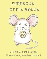 bokomslag Surprise, Little Mouse