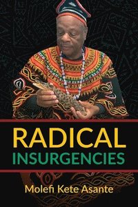 bokomslag Radical Insurgencies