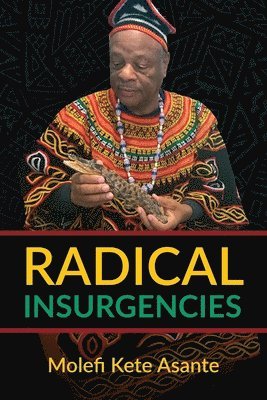 bokomslag Radical Insurgencies