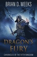 bokomslag Dragon's Fury: Chronicles of the Fifth Kingdom