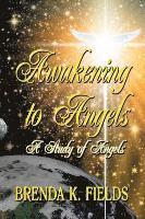 bokomslag Awakening to Angels