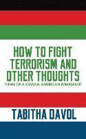 bokomslag How to Fight Terrorism and Other Thoughts