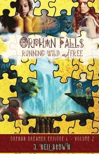 bokomslag Orphan Falls