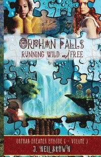 bokomslag Orphan Falls