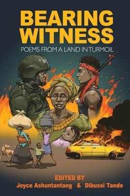 bokomslag Bearing Witness