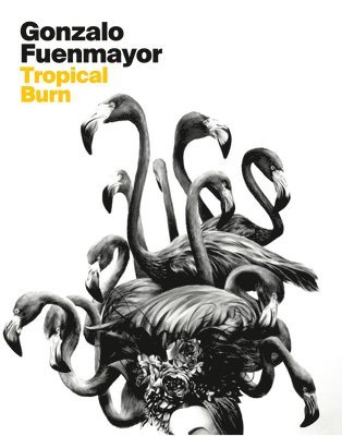 Gonzalo Fuenmayor: Tropical Burn 1