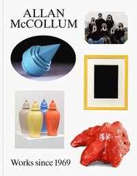 bokomslag Allan McCollum: Works since 1969