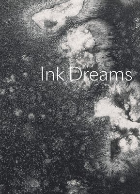 bokomslag Ink Dreams: Selections from the Fondation INK Collection