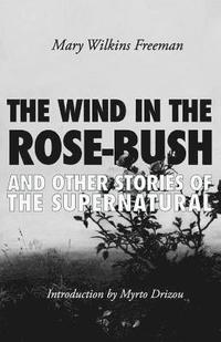 bokomslag The Wind in the Rose-Bush: And Other Stories of the Supernatural