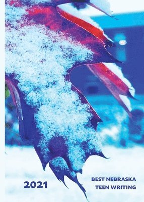 Best Nebraska Teen Writing 2021, Häftad