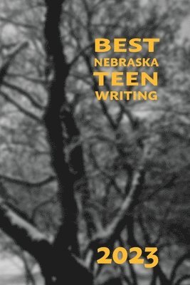 Best Nebraska Teen Writing 2023 1
