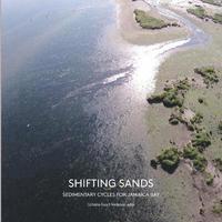 bokomslag Shifting Sands