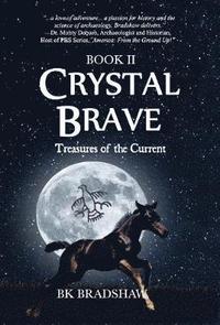 bokomslag Crystal Brave