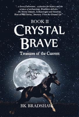 bokomslag Crystal Brave