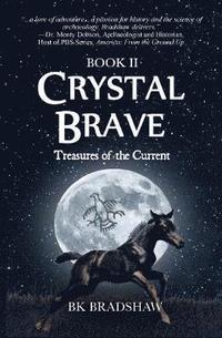 bokomslag Crystal Brave